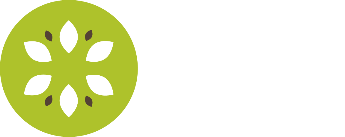 Kivii Logo